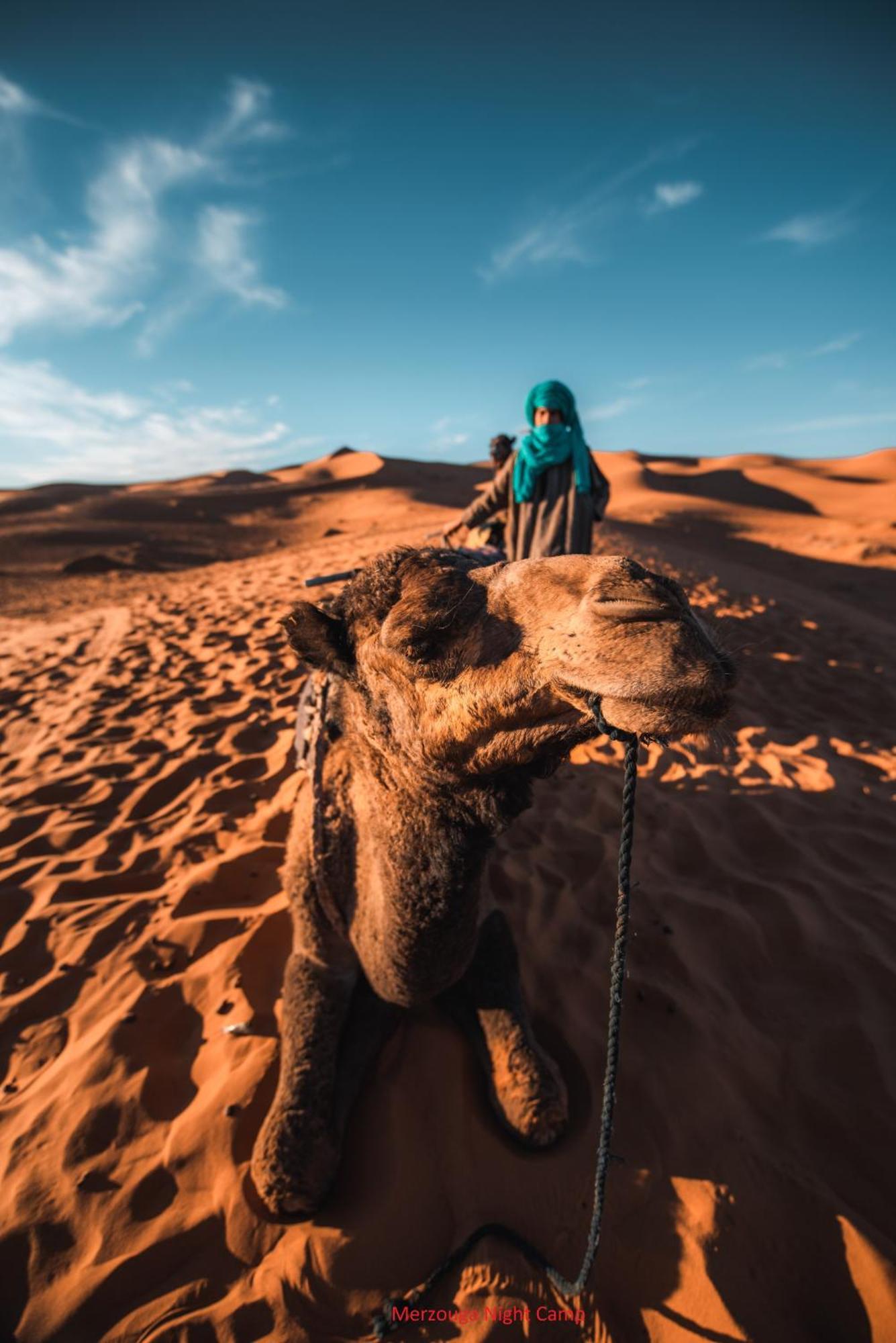 Erg Chebbi Khamlia Desert Camp 梅尔祖卡 外观 照片